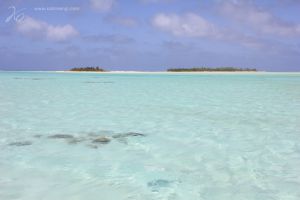 cook islands-6.jpg